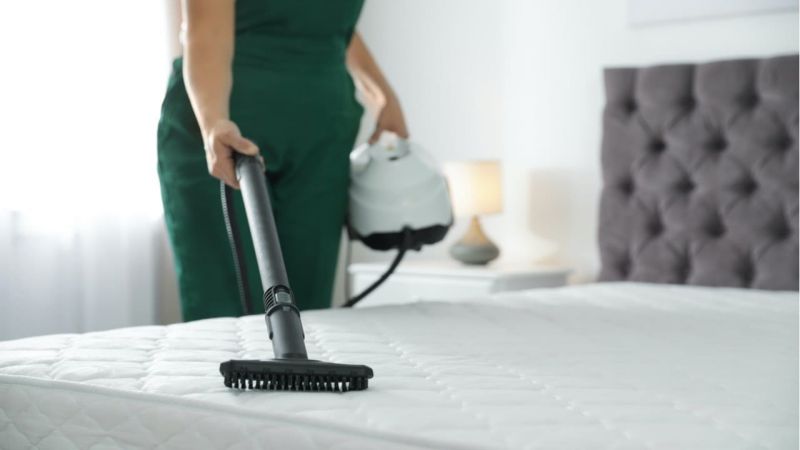 How to remove dust and mites at home?