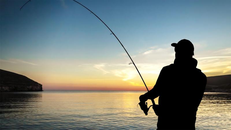 When to cast the rod, the fish hooked?