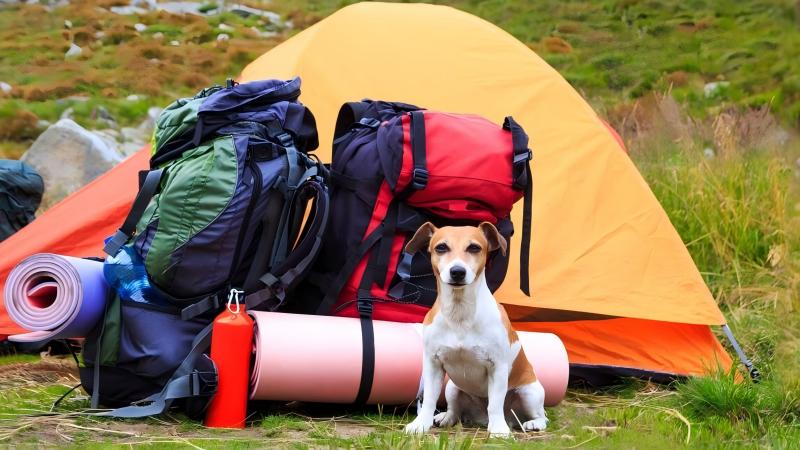 The art of camping gear storage: the secret to easily halving your luggage 